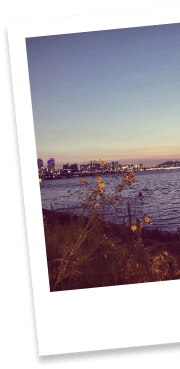 배경 주변 폴라로이드